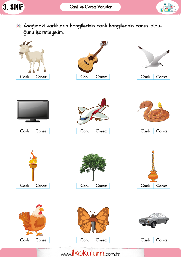 canli-ve-cansiz-varliklar-3-sinif-fen-bilimleri2