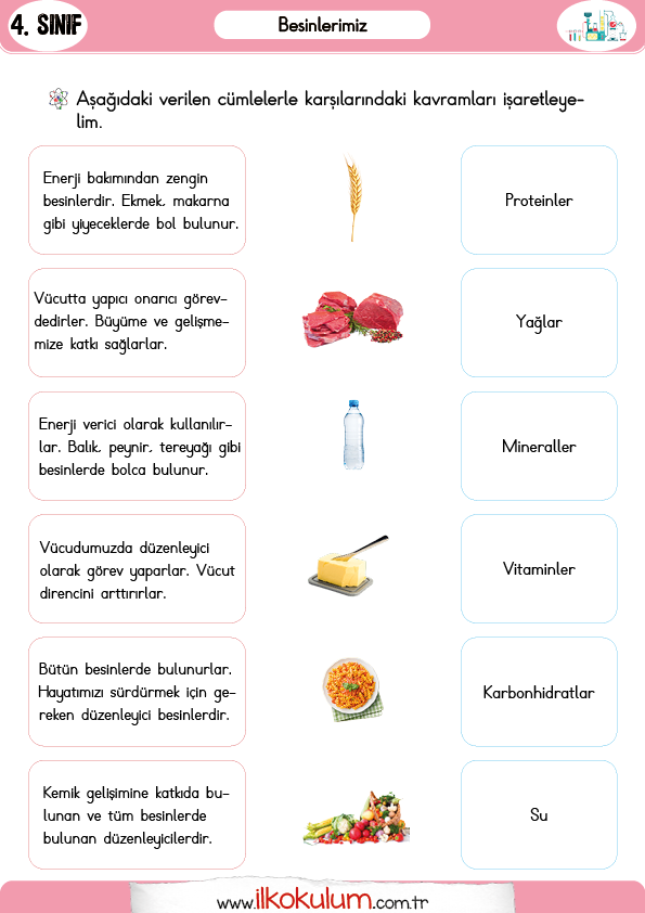 besinlerimiz-4-sinif-fen-bilimleri3