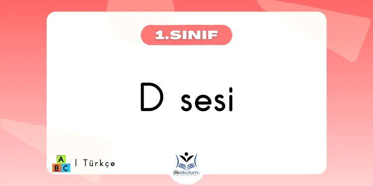 D Sesi Etkinlikleri 1. Sınıf