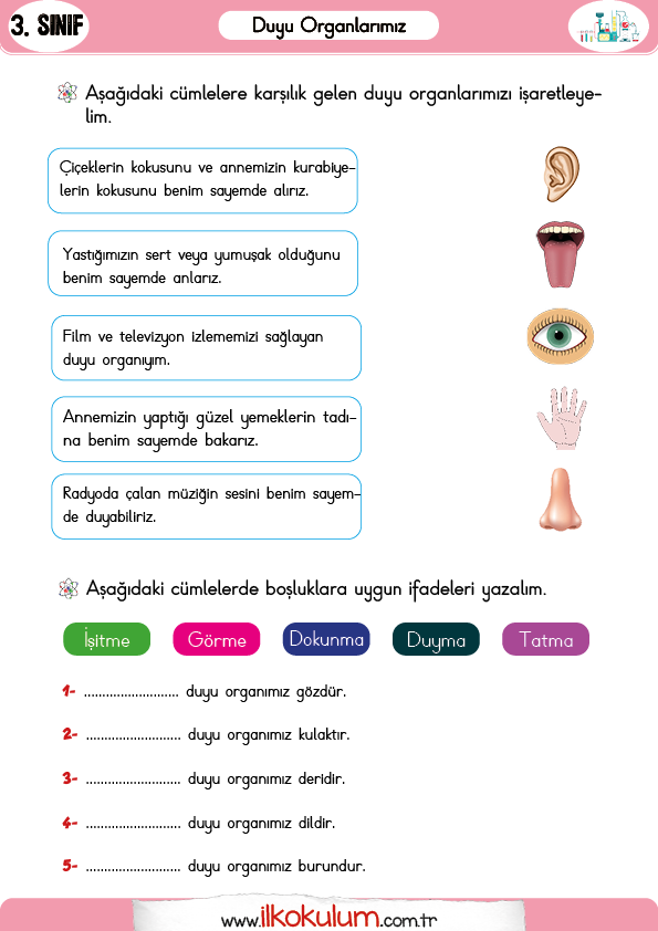 duyu-organlarimiz-3-sinif-fen-bilimleri2