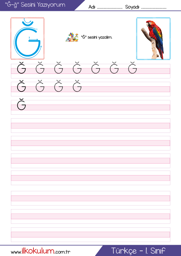 g-sesi-g6