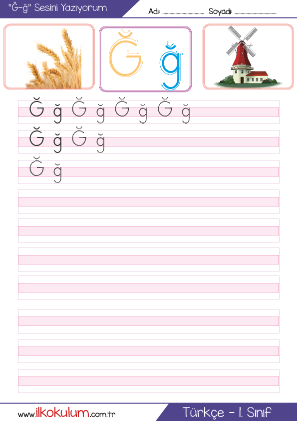 g-sesi-g12