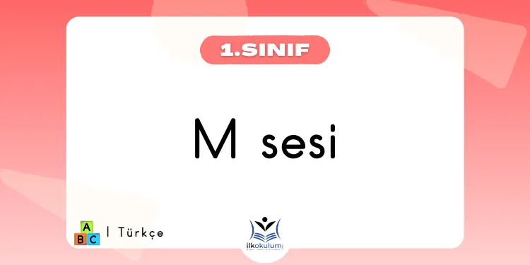 M Sesi Etkinlikleri 1. Sınıf