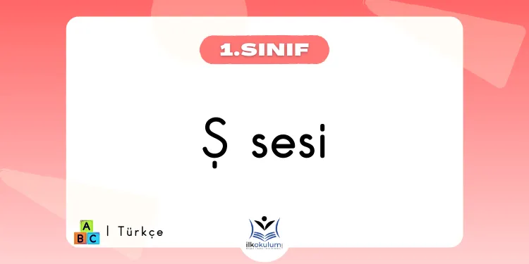 Ş Sesi Etkinlikleri 1. Sınıf